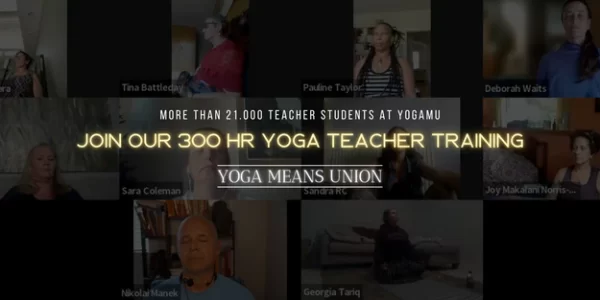 300 HR Yoga Teacher Training